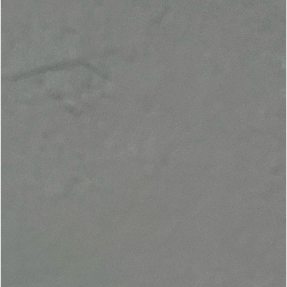 Meet your Posher, Xitlalli